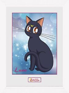 OFFICIAL SAILOR MOON LUNA FRAMED PRINT PICTURE POSTER WALL HANGING