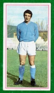 CALCIATORI PANINI 1970/71 - ALESSANDRO ABBONDANZA (NAPOLI) da recupero - Foto 1 di 2