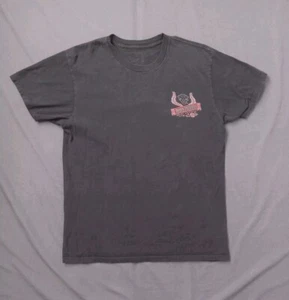 Drury Panthers Womens M Front & Back Graphic T Shirt Tee University Athletics MO - Picture 1 of 11