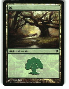 Magic the Gathering - Avacyn Restored Forest 2012 244 Land Japanese - Picture 1 of 2