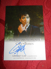 2013 Leaf The Mortal Instruments: City of Bones Godfrey Gao Magnus Bane Lichaun