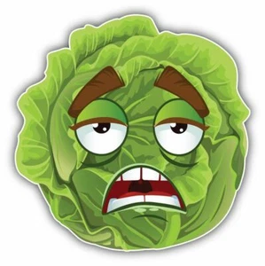 Cabbage Tired Smile Funny Cute Cartoon Sticker Decal Design "SIZES" - Picture 1 of 1