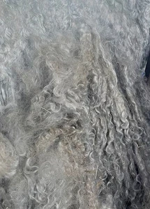 2 oz RAW Angora Goat GRAY MOHAIR Fiber for SPINNING,Weaving Santa & Doll Craft - Picture 1 of 3