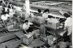 Original 1950's Vintage VENTURA COASTAL Co. Packing Operation Photograph 8"x10" - Picture 1 of 6