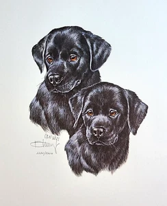 Black Lab Puppy Pair Limited Edition Print by Roger Cruwys - Dogs - Dog - Picture 1 of 1