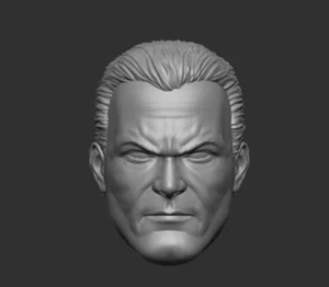 Alex Ross Stil Bruce Wayne Batman kundenspezifischer Kopf für 4"" 6"" 7"" 12"" DC Actionfigur - Bild 1 von 2