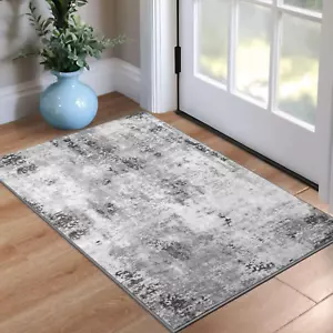 Entrance Rugs Indoor 2X3 Grey Entry Rug Washable Abstract Small Area Rug Non-Sli - Picture 1 of 12