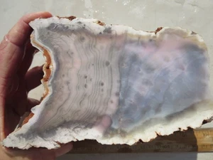3447 CHAMPAGNE AGATE ROUGH, BRAZIL. VERY RARE. EX CLOSED OLD TIME ROCK SHOP - Picture 1 of 4