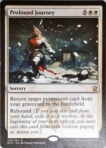 Magic | Dragons of Tarkir | Profound Journey | 30 | LP - Picture 1 of 1