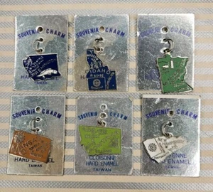 Vintage Cloisonné Hard Enamel State Charm Lot Of 6 MN, ID, NH, WA, MT, KS #2 - Picture 1 of 2