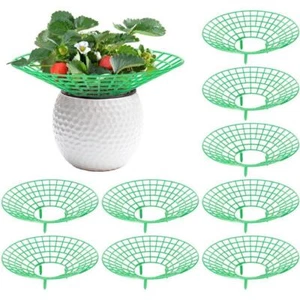 Strawberry Stand Frame Holder Balcony Planting Rack Support Fruit Plants Q2L3 - Picture 1 of 17