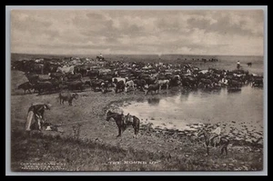 American Cowboy History GEO B CORNISH ""The Roundup"" KANSAS 1907 Albertype - Imagen 1 de 2