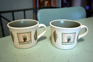 Pfaltzgraff USA Naturewood Garden Herbs Leaves Flat Cups Mugs Set of 2 EUC - Picture 1 of 4