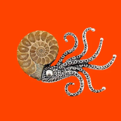 FÓSIL NAUTILUS BROCHE COLGANTE concha de amonita pulpo pulpo steampunk pin 2V Foto 1 de 4