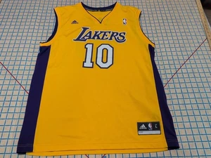 NBA Adidas STEVE NASH #10 Los Angeles Lakers Jersey Mens Large ~12 - Picture 1 of 12