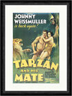 Johnny Weissmller in Tarzan and his Mate Dschungel  Faks_Plakatwelt 534