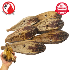 Bonka Bird Toys 3410 Pk6 Drilled Mahogany Pods Foot Talon Craft Part Parrot Toys - Picture 1 of 7