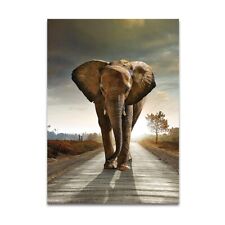 Elephant Animal Canvas Painting Art Print Poster Picture Wall Nordic Decoration 