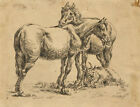 After Paulus Potter, Zwei Pferde und eine Ziege - Mitte des 19. Jahrhunderts ...