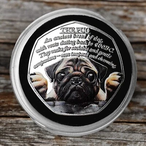 DER MOPS Silber Gedenkmünze. Kapsel/Farbe. Lieblingshunde. Welpe/Welpe/Hund - Bild 1 von 10
