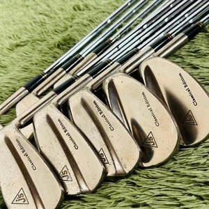BRIDGESTONE j's Classical Edition Iron 10-Piece Set Men's Golf Right FLEX X - Picture 1 of 9