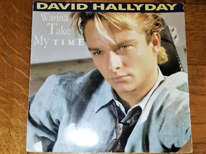 DAVID HALLYDAY - WANNA TAKE MY TIME ( 45 TOURS ) - V9 - - Picture 1 of 1