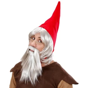 ZWERGEN GNOM SET Zwergenmütze Zwergenbart Zwergenperücke Bart Perücke Mütze 6499 - Bild 1 von 1