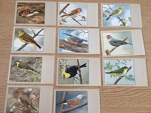 Sluis Bird Foods Vintage Post Cards Sluis Post Cards Cage Bird post card - Picture 1 of 1