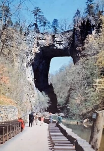 Vtg 1949 35mm Slide VA Endless Caverns Pool Narcissus Natural Bridge Kodachrome - Picture 1 of 6