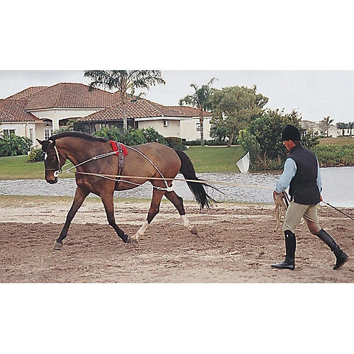 Pessoa Lunging System Horse Foto 1 de 1