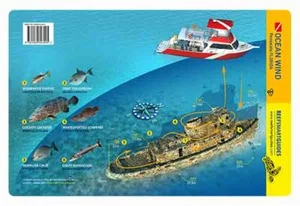 Ocean Wind Wreck Florida Panhandle Reef Smart Waterproof Dive Card - Imagen 1 de 2