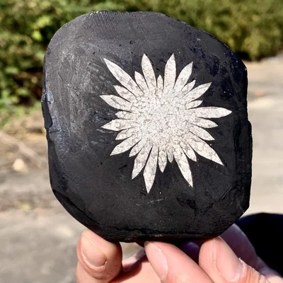 246G Natural chrysanthemum stone quartz carving aura healing gift - Image 1 of 4