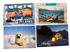 4 New Alaskan Eagles, Brown Bear Harp Seal, Igloo Postcards 6” x  4 1/4”