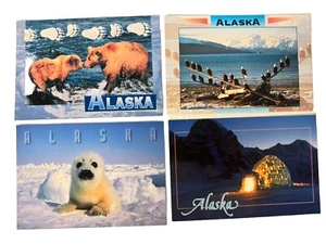 4 New Alaskan Eagles, Brown Bear Harp Seal, Igloo Postcards 6” x  4 1/4” - Picture 1 of 6