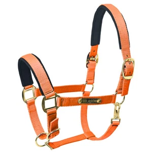 97HI XS S M L HILASON Western Horse Top Grade Nylon Comfortable & Flexible - Picture 1 of 37