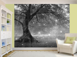 Fairy Tree In Mystic Forest black and white photo Wallpaper wall mural(51190425)
