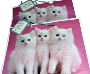 GATITOS BLANCOS OJOS AZULES GATO Imágenes Reales Papel Regalo 2 Bolsas de Compras De Colección por AG - Imagen 1 de 2
