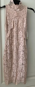 NWT Nightcap Victorian Mini Dress Lace $355 Size 3 Millennial Pink Made In USA - Picture 1 of 12