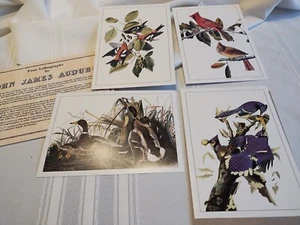 4 John J Audubon 5"x7" Vogel Lithographien von Originalplatten Neu in Verpackung siehe Bilder - Bild 1 von 12