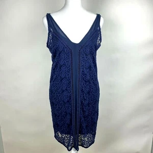 Vestido Abercrombie Fitch S Azul Floral Bordado Transparente Cuello en V Sin Mangas Forrado - Imagen 1 de 9