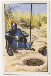 ANTILOPENFANG TRITTFALLE FOOT TRAP ANTELOPE ANTILOPE JAGD FANG IMAGE CARD 1930's - Picture 1 of 2