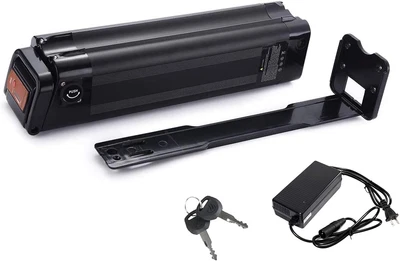 JUNDA for Prophete MiFa Trio Phylion XH259-10J Zhenlong 24V 36V Silver Fish Battery