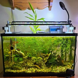 Aquarium Hydroponic Light Risers Staggered Teared Extended Dual Tab Rimmed Tanks - Picture 1 of 12