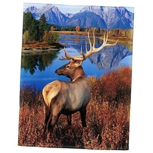 Elk Blanket Forest Grass Deer Fleece Blanket Soft Fuzzy Plush Throw 50" x 60" - Picture 1 of 8