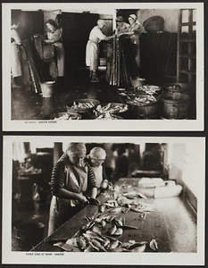 Postkarte Fischereiindustrie Kipper Girls at Work, Craster (2 Karten) - Bild 1 von 2