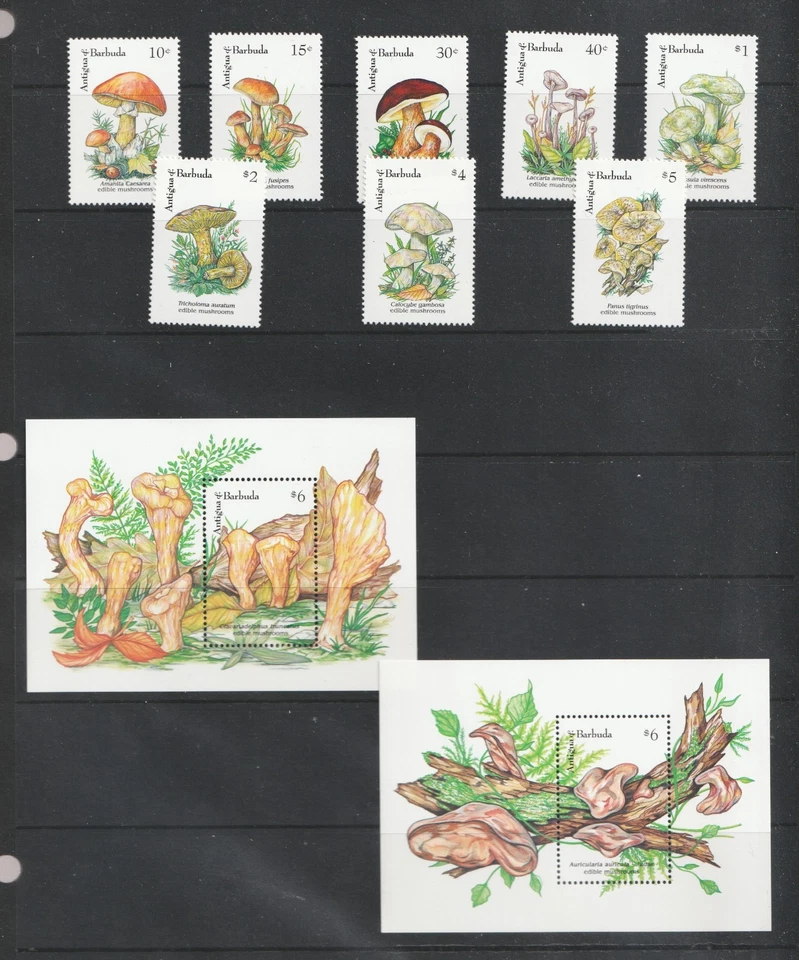 1992 Antigua & Barbuda Sc# 1519-26. Mushrooms, Fungi. MNH set Cv$28.90 - Image 1 of 1