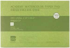 BAOHONG Academy Grade Watercolor Painting Paper, 100%Cotton Cold Press, 20 Sheet - Picture 1 of 20
