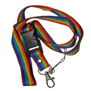 Gay Pride Rainbow Woven Ribbon Lanyard Keychain LGBTQ - Picture 1 of 1