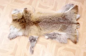 Schönes Fuchsfell mit Bescheinigung Fox Fur - Bild 1 von 2