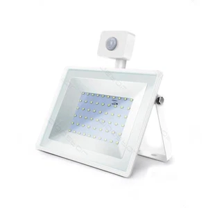 FARO LED SLIM 50W SMD CREPUSCOLARE CON SENSORE MOVIMENTO 6400K FREDDO IP65 ES... - Foto 1 di 6